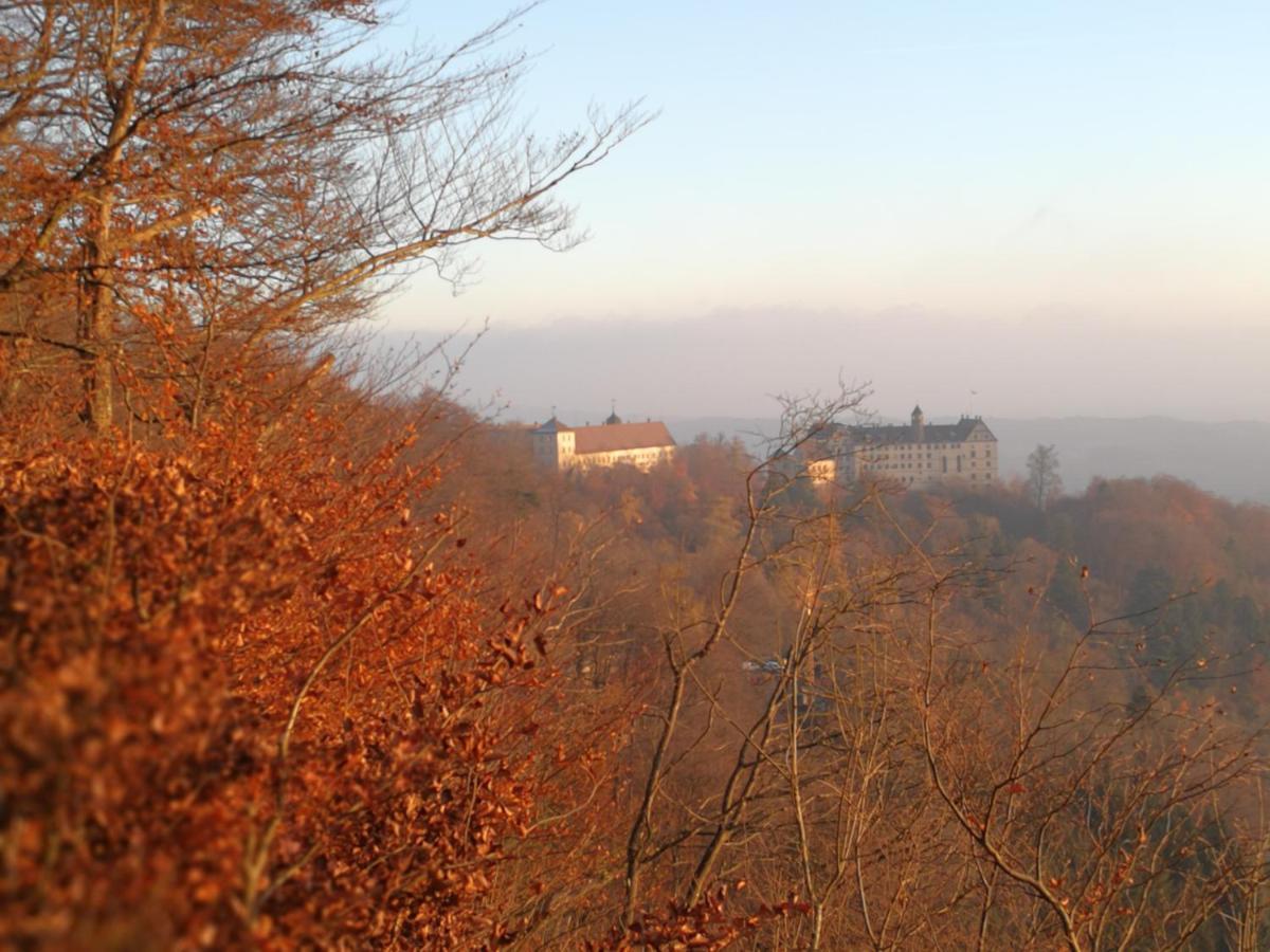 Ferienwohnung Am Bodensee Heiligenborn 部屋 写真